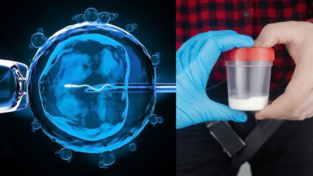 Fecundación In vitro o Inseminación artificial